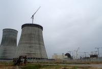 Литва просит Беларусь остановить запуск первой в стране АЭС