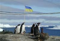 В МОН представили топ-10 исследований украинских полярников на станции "Академик Вернадский"
