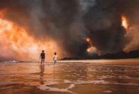 В Австралии вследствие лесных пожаров погибли более 400 человек