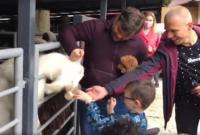 "Казліна ти дурна": екс-глава ОП Богдан пристав до козла в зоопарку (відео)