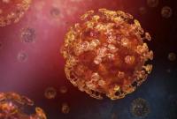 В Австралии зарегистрировали первую смерть от коронавируса