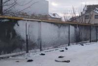 Вблизи Каховки погибло более 1 тыс. грачей: экспертиза установила причину