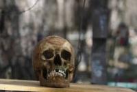 Человеческий череп нашли в Кропивницком