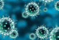 Вспышка коронавируса в мире: Франция запретила массовые мероприятия