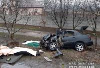 Смертельное ДТП в Житомирской области: полиция открыла производство и сообщила подробности