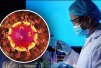 Washington Post: грип зникає з потеплінням, а що буде з коронавірусом?