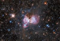 Телескоп Hubble зробив фото "зоряної колиски" в туманності Тарантул