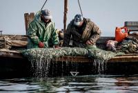 Вылов промышленными рыбаками в этом году превысил 24 тыс. тонн