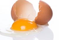 Компанія з США почала виробляти штучні яйця і пропонує замінити ними справжні