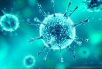 В Болгарии 40% населения считает коронавирус биологическим оружием