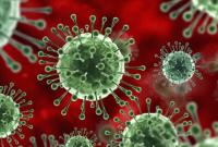 Пандемия: число инфицированных COVID-19 в мире перевалило за 39 млн