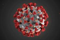 В Чехии объявили локдаун из-за пандемии коронавируса