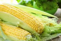Стало відомо, чому зростає ціна на українську кукурудзу