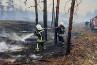 На востоке Украины объявили предупреждение о пожарной опасности