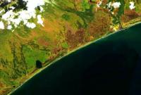 Нефтяное пятно на побережье Камчатки растеклось на сотни метров