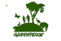 Місія Greenpeace помітила нові підозрілі плями на Камчатці, південніше місця екологічної катастрофи