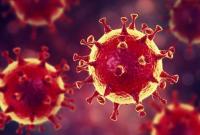 Пандемия от COVID-19 в мире умерли более 918 000 человек