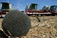 В Украине собрали уже почти 36 млн тонн зерна