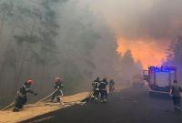 В Луганской области спустя сутки потушили лесной пожар