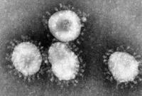 Анализ нового коронавируса исследовали на глобальном уровне