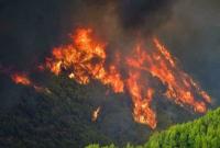 Пожар вблизи Афин: задержали вероятных поджигателей