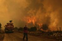 В Турции запретили посещать леса в провинциях, где бушуют пожары