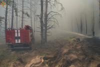 Под Северодонецком в Луганской область загорелся лес