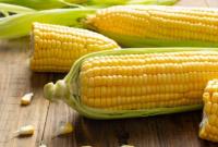В Україні впали ціни на кукурудзу