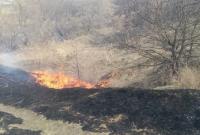 Количество пожаров в экосистемах Луганщины за последние дни выросла в 16 раз