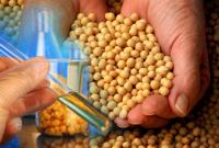 Держпродспоживслужба спростувала завезення в України насіння сої з ГМО