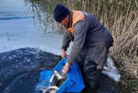Полиция задержала браконьеров, изъято рыбы почти на 1,7 млн гривен
