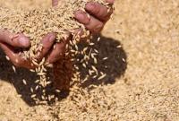 В Україні суттєво зменшився експорт зерна