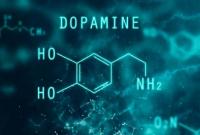 Зачем нам нужен дофамин: гормон удовольствия, любви и счастья