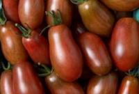 Неймовірний смак та стійке зберігання: в США вивели новий сорт томатів