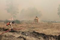 В Челябинской области стремительно растет площадь лесных пожаров