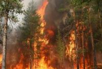 Украинцев предупреждают о чрезвычайном уровне пожарной опасности