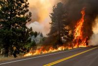 В Калифорнии вспыхнули пожары из-за жары: горят леса и дома, людей эвакуировали