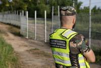В Литве приостановили строительство стены на границе с Беларусью: названа причина