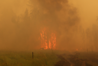 В Якутии лесные пожары охватили более 1,3 млн га