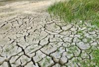 Засуха знищує землеробство у південних регіонах України