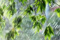 Погода в Украине на сегодня 16 июня: Ожидаются дожди с грозами