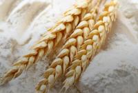 Експорт зернових з Херсонщини можуть заборонити