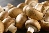 В Україні зріс попит на гриби
