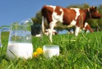 Програма контролю сирого молока стане загальноукраїнською – Магалецька