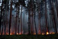 Расследование пожаров на Луганщине: ВСК Рады во вторник заслушает силовиков