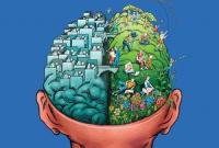 Мозг не отличает реальность и воображение: факты о мозге, которые нужно знать