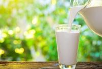 В Україні виробництво молока опинилось під загрозою