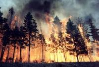 В Украине пожары за неделю унесли жизни более 40 человек