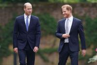 Новый фильм о принцах Гарри и Уильяме вызвал недовольство королевской семьи