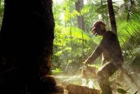 Ліси Амазонки більше не легені планети